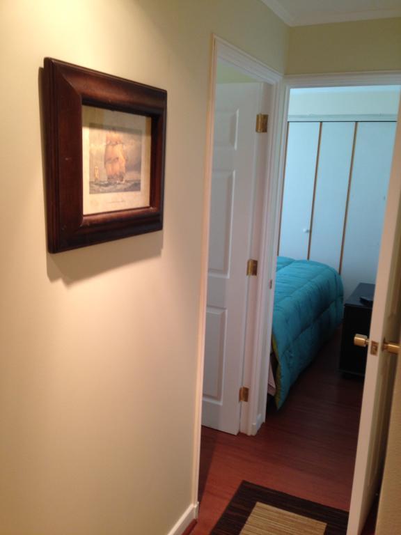 Apartamento Departamento Halimeda Viña del Mar